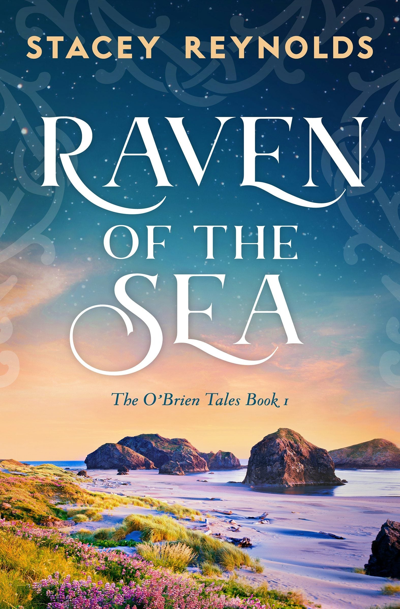 Book cover image for Raven of the Sea ISBN: 9781837004058